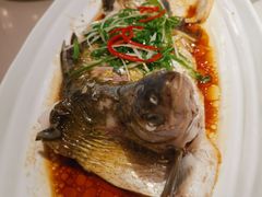 -湖锦酒楼·旗舰店(三阳总店)