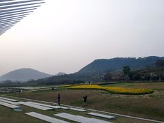 -艾米稻香小镇