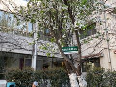 -舜耕山庄南风阁(舜耕路店)