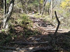 -王顺山国家森林公园