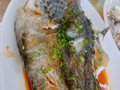 清蒸石斑鱼-明记海鲜大排档(巽寮湾店)