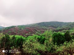 -鬼笑石后山停车场