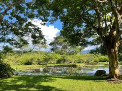 -中国科学院西双版纳热带植物园