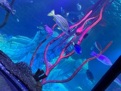 -沈阳海洋探索中心