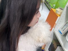 -唐小姐の猫狗洗护·购宠旗舰店(周浦万达店)
