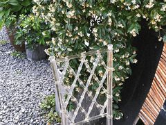 -云里小坐·小院里·团建·宴请·下午茶(三圣乡店)