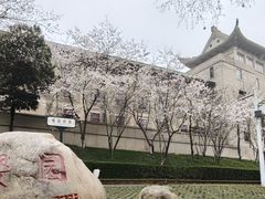 -武汉大学-樱园