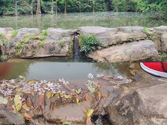 -云溪植物园