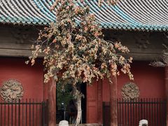 -窦大夫祠