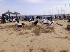-碧海金沙