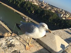 -圣马尔谷圣殿宗主教座堂