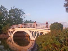 -大兴滨河森林公园