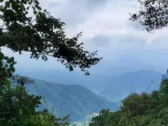 -王顺山国家森林公园