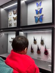 -酷嗒动物文化乐园(cutezoo西溪乐天城店)