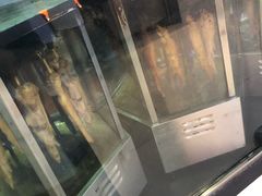 -一代烤翅王(大汉口店)
