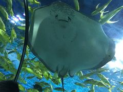 -福州罗源湾海洋世界旅游区