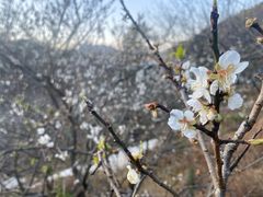 -广州市流溪河国家森林公园