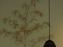 -原乡芦茨咖啡