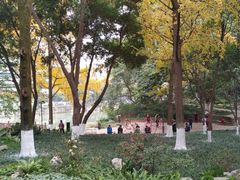 -成都市活水公园