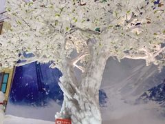-广州热雪奇迹