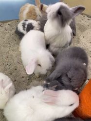 -meland亲子乐园•派对•研学(苏州悠方购物中心店)