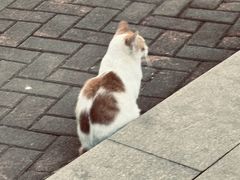 -晓港公园