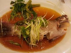 東星班-西苑酒家(太古城店)