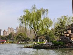-青枫公园