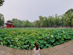 -四川大学(望江校区)