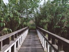 -白鹭湾湿地公园