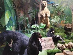 -济州岛泰迪熊博物馆