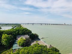 -大湾区中央湿地公园