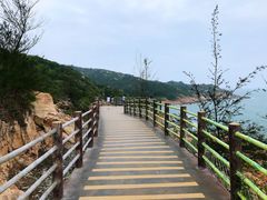 -广东惠东海龟国家级自然保护区