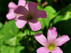 -上海滨江森林公园