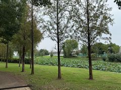 -蟹天蟹地农家菜·阳澄湖大闸蟹(浅水湾店)