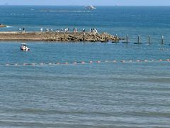 -青岛第二海水浴场