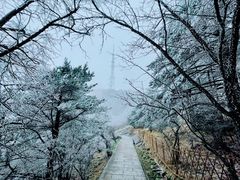 -黄山风景区