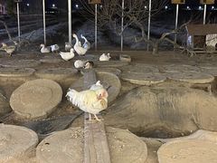 -河北村民俗体验园