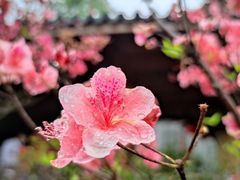 -杭州上天竺法喜讲寺