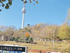 -龟山风景区-龟山电视塔
