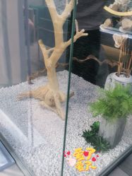 -木北造型