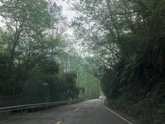 -花水湾第一村温泉大酒店