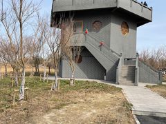 -盐城丹顶鹤湿地生态旅游区