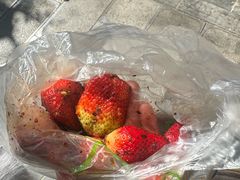 -雪儿钱局泡菜