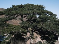 -妙峰山风景名胜区