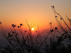 -江西阳明山国家森林公园