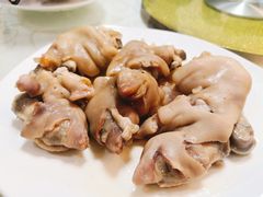 -丁老爷子苏香圆
