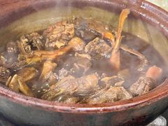 -霞姐屯昌枫木香草鸭店(海螺店)