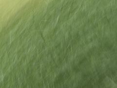 -滨湖塘西河公园