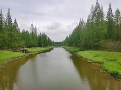 -黄海国家森林公园